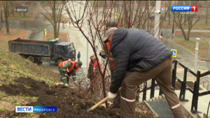 Весенние субботники в Хабаровске пройдут 25 апреля и 16 мая