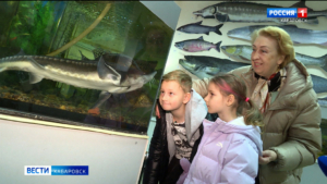 «Мы найдём возможность»: сохранить уникальный Амурариум в Хабаровске пообещали власти края