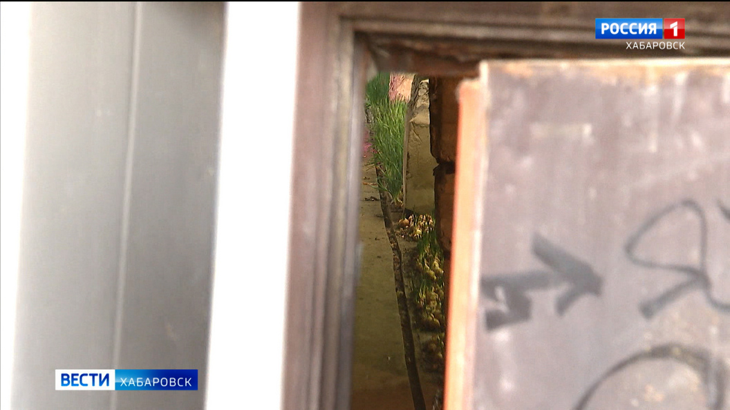 «Запах противный, до тошноты»: подвал жилого дома в центре Хабаровска превратили в луковую плантацию