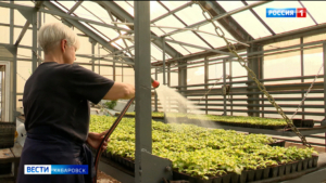 «Там будут миндаль и вишня»: в хабаровском парке «Динамо» создают уникальный «Сад сакуры»