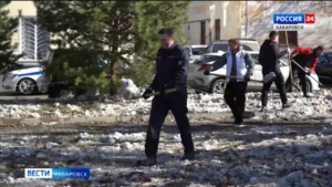 «Для нас это больше, чем уборка»: Дмитрий Демешин призвал жителей края выйти на субботники