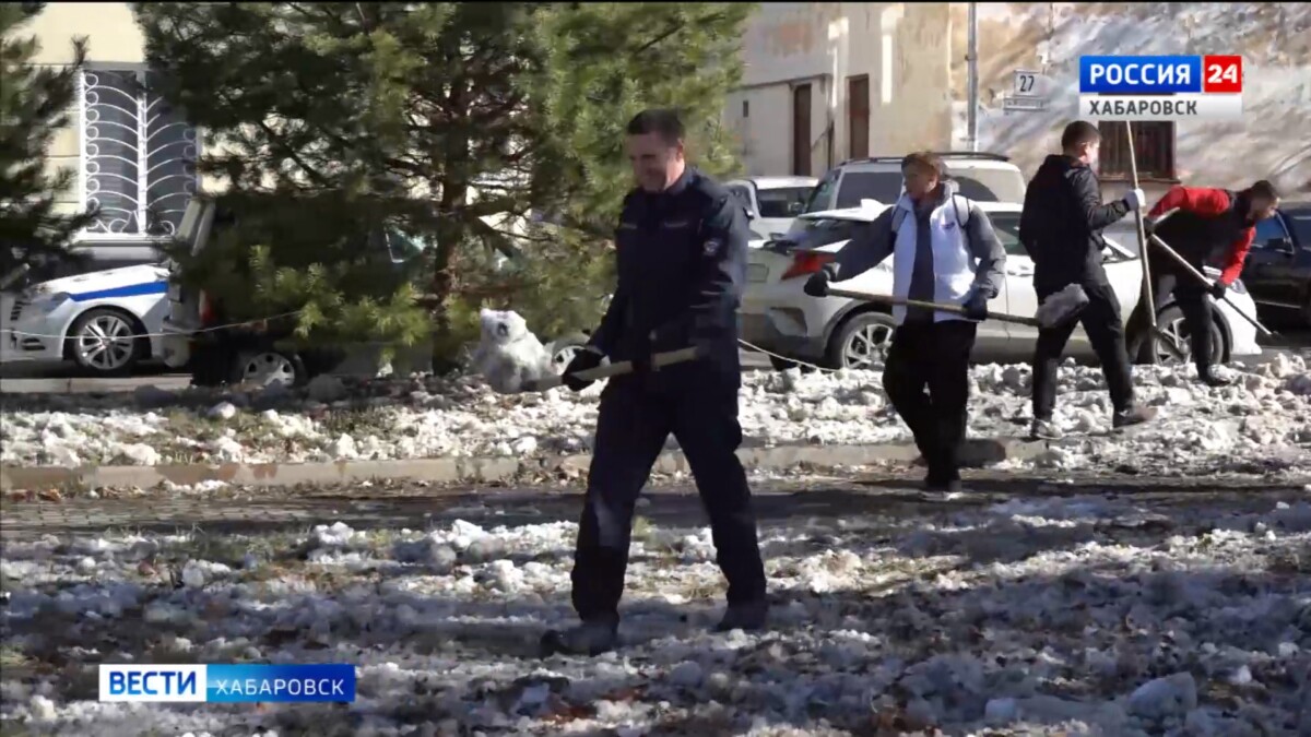 «Для нас это больше, чем уборка»: Дмитрий Демешин призвал жителей края выйти на субботники