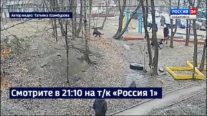 Смотрите в 21:10. В Хабаровске собаки напали на ребёнка на детской площадке 