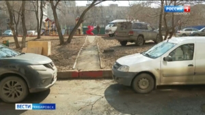 «У неё они без намордника»: жители улицы Вяземской жалуются на выгул собак на детской площадке