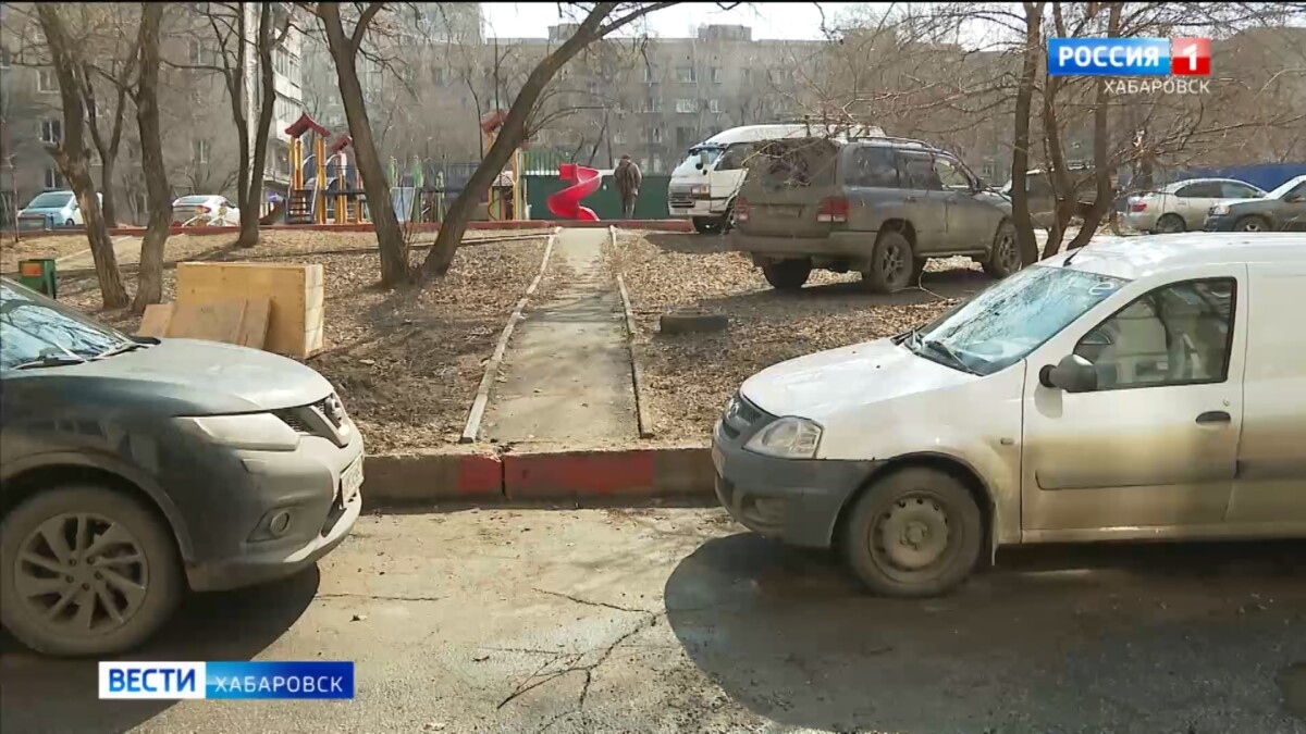 «У неё они без намордника»: жители улицы Вяземской жалуются на выгул собак на детской площадке