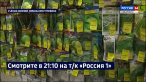 Смотрите в 21:10. Россельхознадзор предупреждает: остерегайтесь контрафактных семян и саженцев