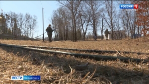 В преддверии Родительского дня кладбища Хабаровска обработают от клещей