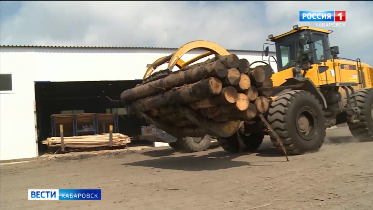 Профилактика вместо проверок: власти края готовы идти навстречу заготовителям в лесной отрасли