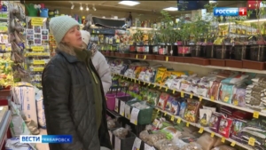 «Непонятно, что там вырастет — томаты или трава»: в Россельхознадзоре предостерегают от контрафакта