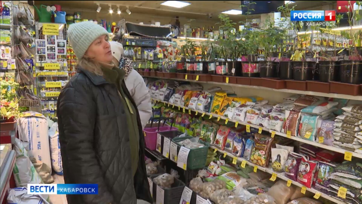 «Непонятно, что там вырастет — томаты или трава»: в Россельхознадзоре предостерегают от контрафакта