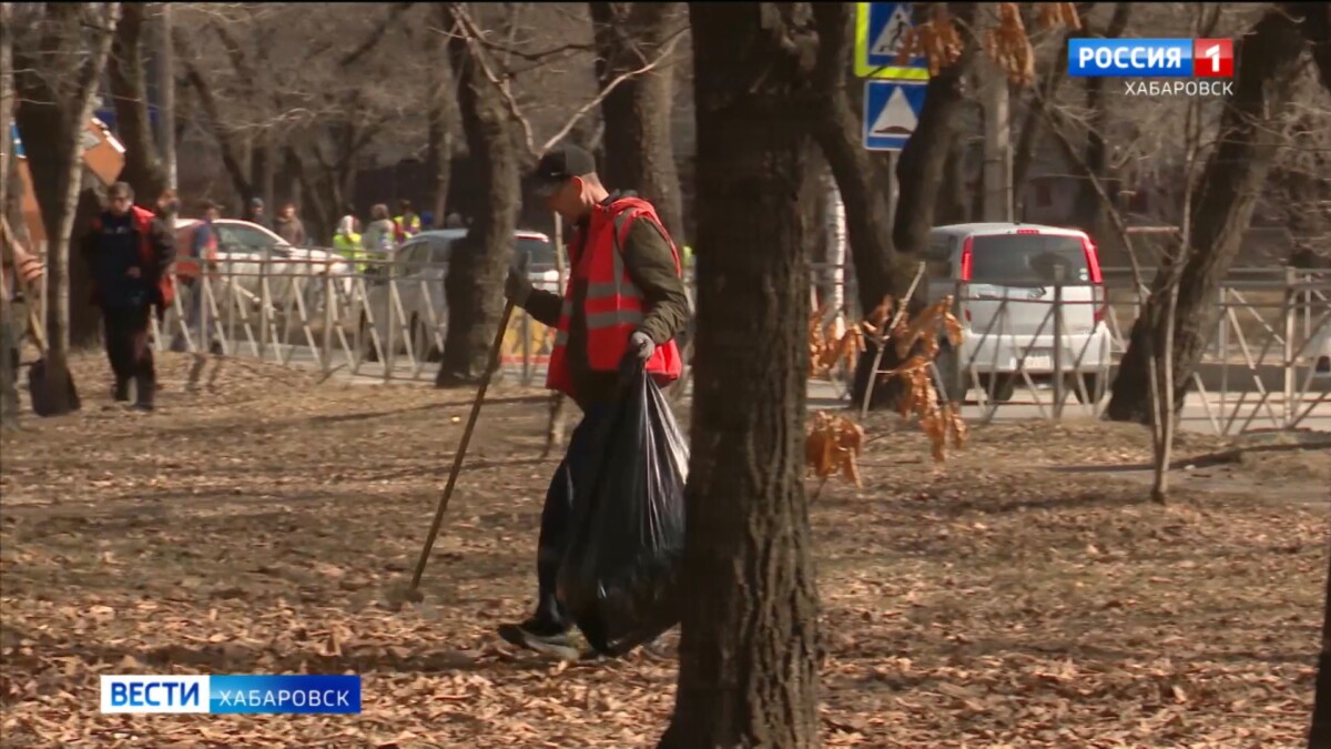 «У бизнеса есть обязательства»: двухмесячник по уборке стартовал в Хабаровске