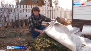 «Чтобы всё в порядок привести, можно целый день потратить»: хабаровчане открывают дачный сезон