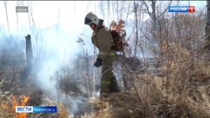 Особый противопожарный режим ввели по решению губернатора в двенадцати субъектах региона