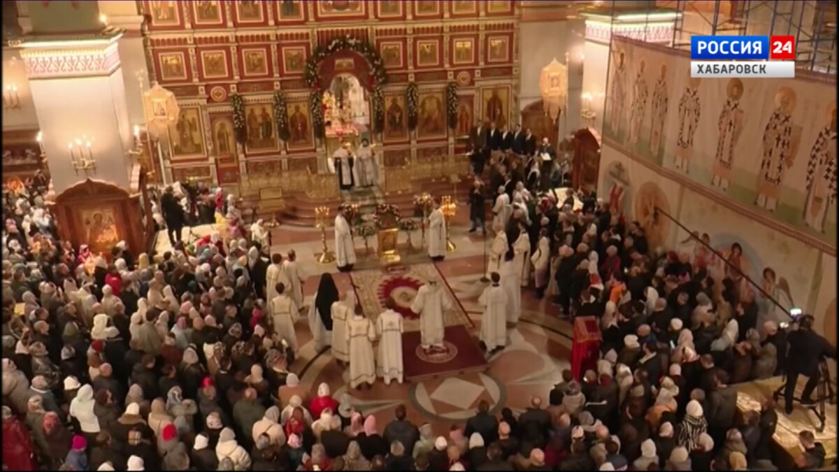 Видеосюжеты