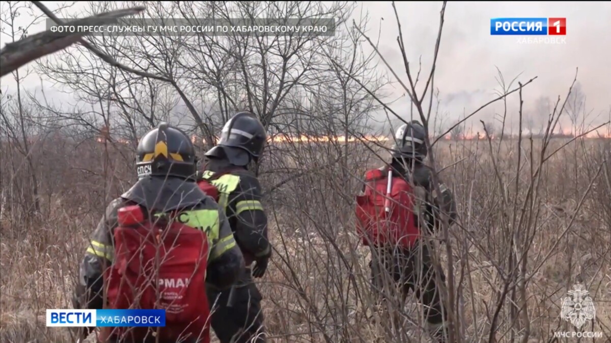 Пожарные защитили село Голубичное в Амурском районе от ландшафтного возгорания