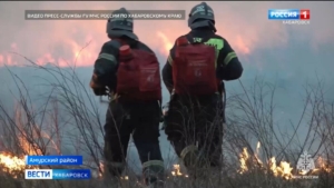 Почти 200 возгораний зарегистрировано в Хабаровском крае с начала пожароопасного сезона