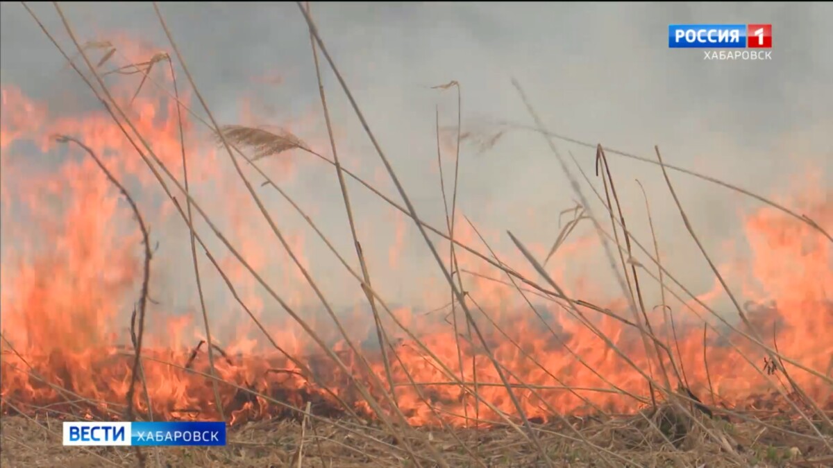 Первых нарушителей особого противопожарного режима привлекли к ответственности в Хабаровском крае
