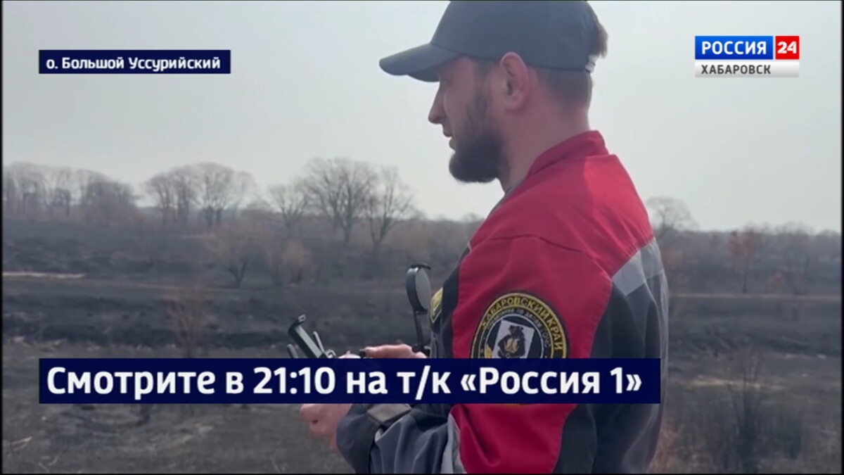 Видеосюжеты