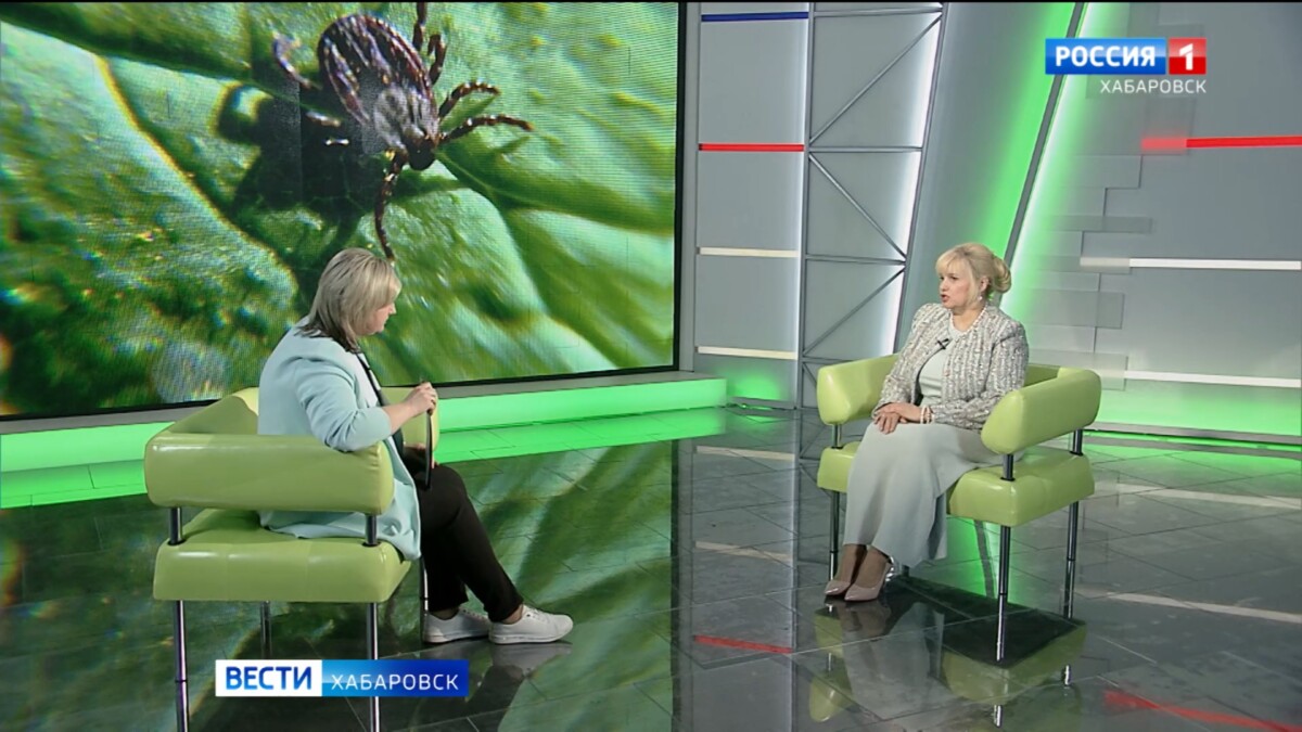 Большое утро. Какие меры принимают в Хабаровском крае, чтобы снизить активность клещей