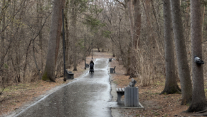 Хабаровский дендрарий благоустроили в рамках президентского нацпроекта «Экологическое благополучие»