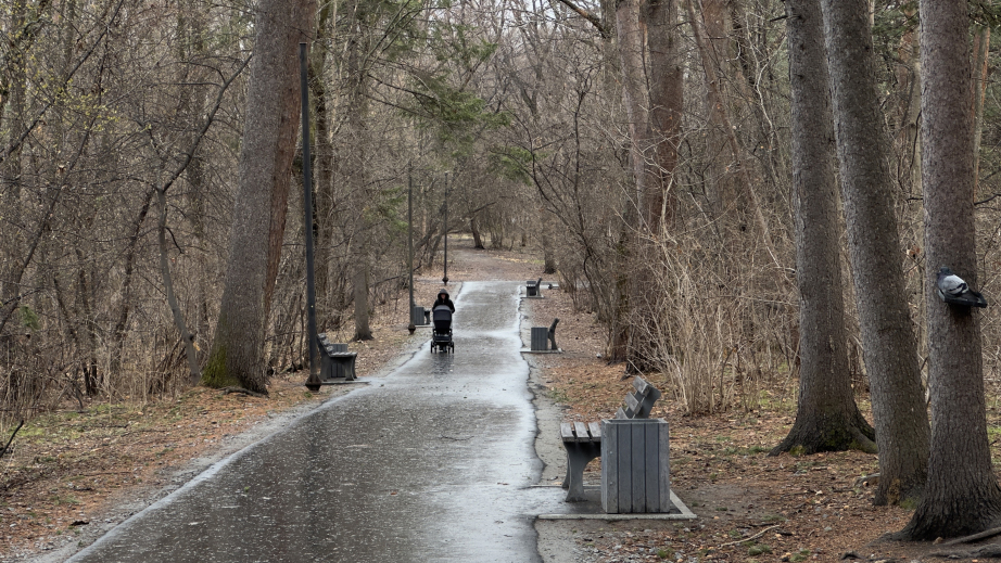 Хабаровский дендрарий благоустроили в рамках президентского нацпроекта «Экологическое благополучие»