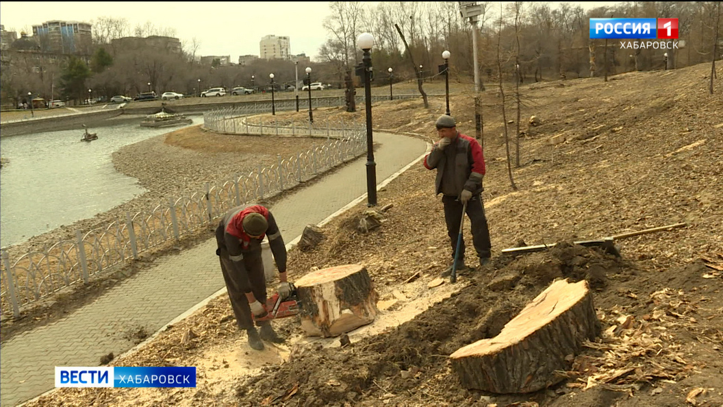 Для хабаровчан освободили поляну: на верхнем пруду парка «Динамо» создадут полноценную зону отдыха
