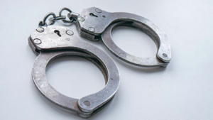 Рецидивиста в федеральном розыске задержали в Хабаровске за …кражу собаки