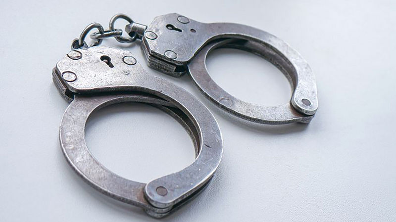 Рецидивиста в федеральном розыске задержали в Хабаровске за …кражу собаки