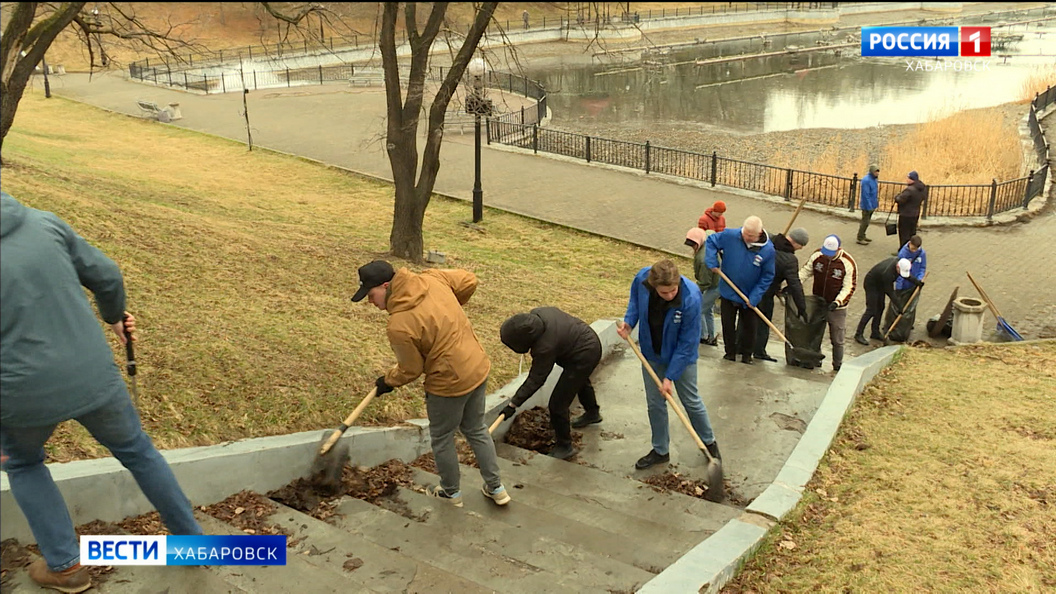 Видеосюжеты