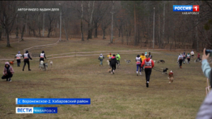 Гонку с собаками на выносливость провели в Хабаровске – впервые на Дальнем Востоке