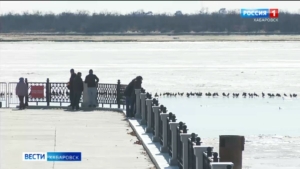 «Ассоциации со свободой и теплом»: первых перелётных гостей уже можно встретить на Амурской протоке