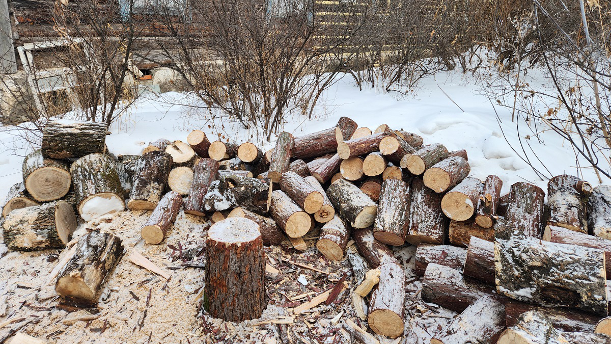 Хотел остаться незамеченным: в Хабаровском районе задержали подозреваемого в незаконной рубке