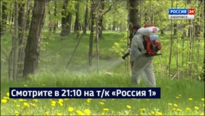 Смотрите в 21:10. В крае – пик активности клещей, общее число пострадавших уже около двух тысяч