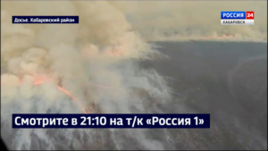 Смотрите в 21:10. На майские праздники лесничества региона перешли на усиленный режим патрулирования