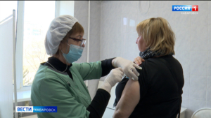Число пострадавших от клещей в Хабаровском крае за неделю выросло в 2 раза