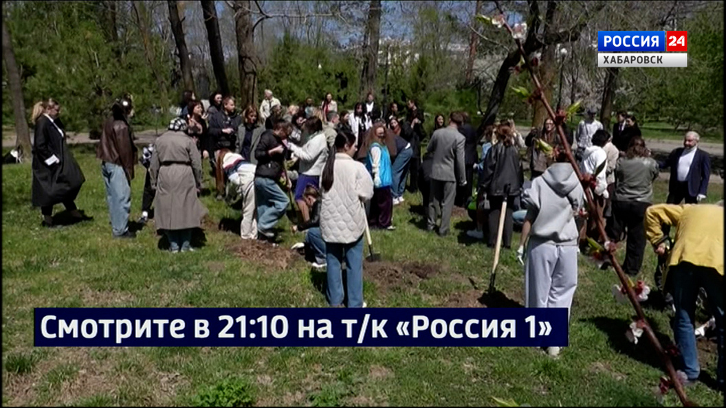 Смотрите в 21:10. Пассажиры и гости «Театрального поезда» высадили в Хабаровске вишнёвую аллею