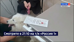 Смотрите в 21:10. В Хабаровском крае вводят штрафы за ненадлежащее содержание собак