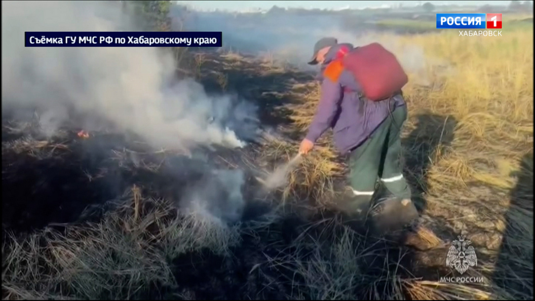 Бытовой мусор стал причиной пала травы на острове Кабельном