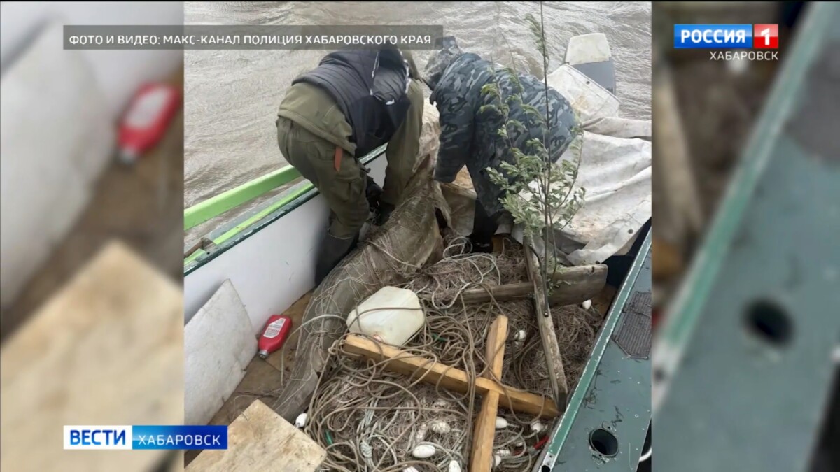 Незаконную осетровую фабрику ликвидировала полиция в Ульчском районе