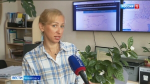 В край пришли затяжные дожди: по прогнозам синоптиков, они будут идти до конца недели