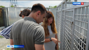 «Вижу, как решить проблему с бюрократией»: Максим Иванов помогает приюту для бездомных животных