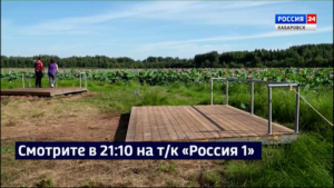 По поручению Губернатора возле озера лотосов, одного из «Семи чудес» края, завершили благоустройство