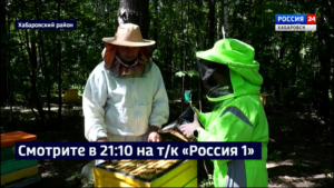 Смотрите в 21:10. Впервые на Дальнем Востоке в Хабаровском крае запустили …пчелошеринг