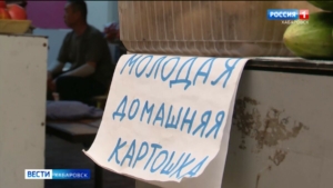 В этом году край собственными силами закроет потребность в картофеле – сразу на 82 процента