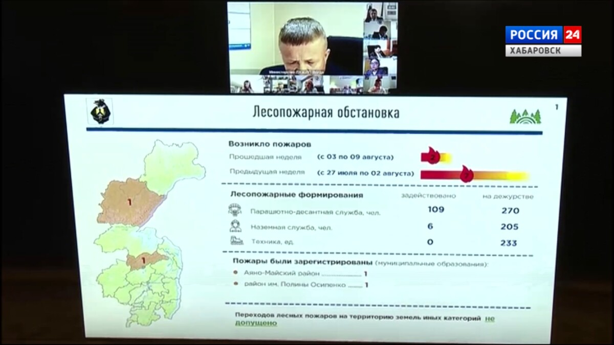 В Хабаровском крае потушили большую часть лесных возгораний – 16 очагов на площади около 12 тысяч га