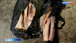 У комсомольчанина изъяли более семи килограммов краснокнижной рыбы