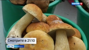 Смотрите в 21:10. Грибной сезон начался в Хабаровском крае