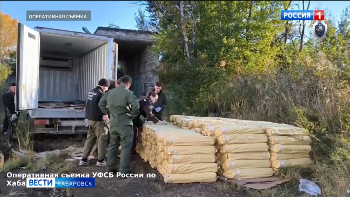 Партию чёрной икры в три тонны задержали сотрудники УФСБ России, возбуждено уголовное дело