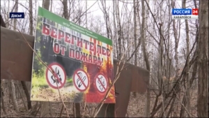 На всей территории Хабаровского края введён особый противопожарный режим