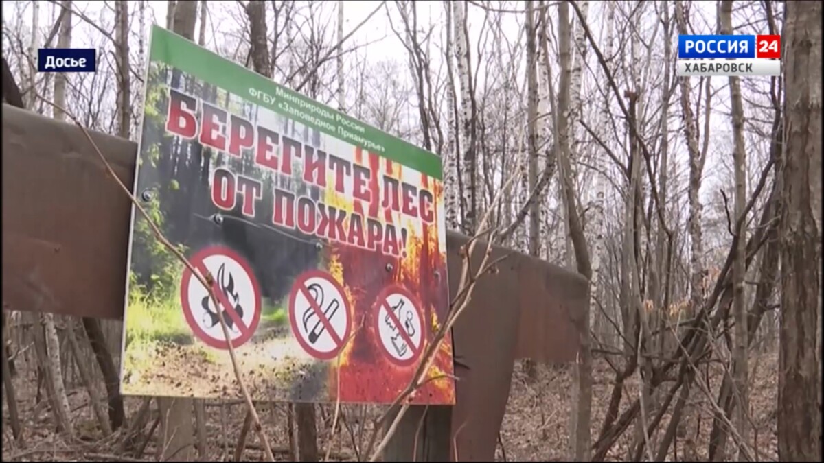 На всей территории Хабаровского края введён особый противопожарный режим